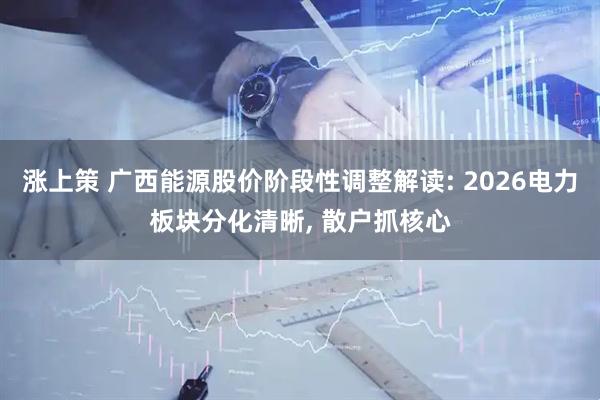 涨上策 广西能源股价阶段性调整解读: 2026电力板块分化清晰, 散户抓核心